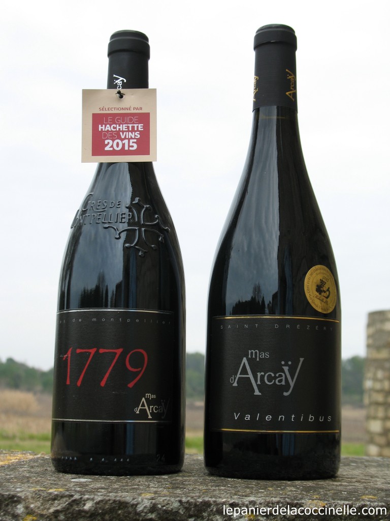 Mas d'Arcaÿ-vin-rouge-1179-Valentibus