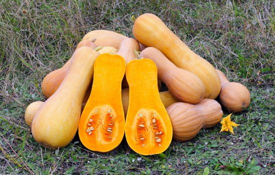 recette-vegan-sans-gluten-courge-sautee-creole