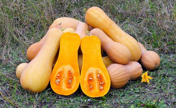 recette-vegan-sans-gluten-courge-sautee-creole