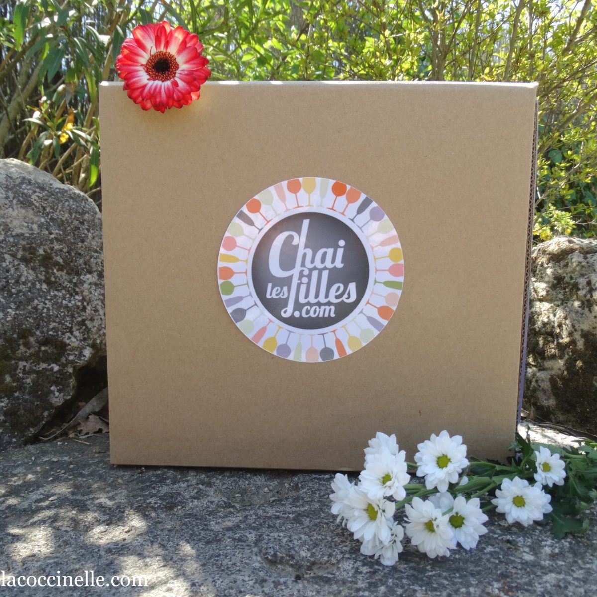 Chai-les-filles-box-vin