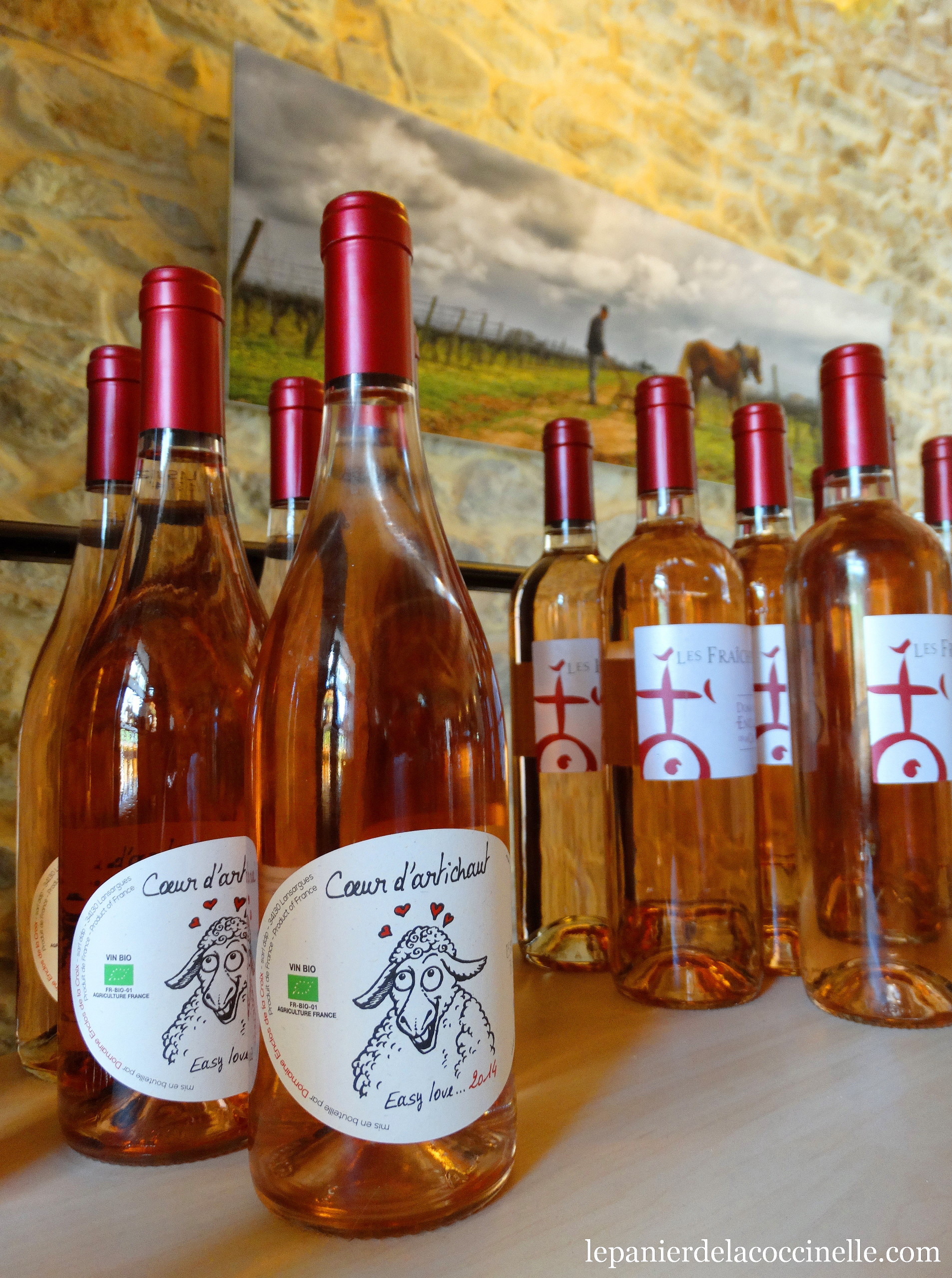 Vin D Oc Et D Ailleurs Agde L'Enclos de la Croix, un domaine viticole bio à découvrir