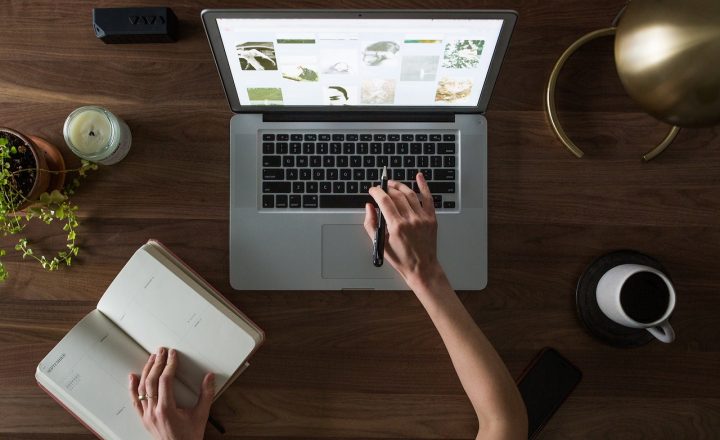 slow-blogging-minimalisme-digital-blog-green