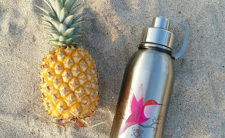 Gourde isotherme en inox Gaspajoe, marque française d'accessoires zéro déchet. Mademoiselle Coccinelle, blogueuse green