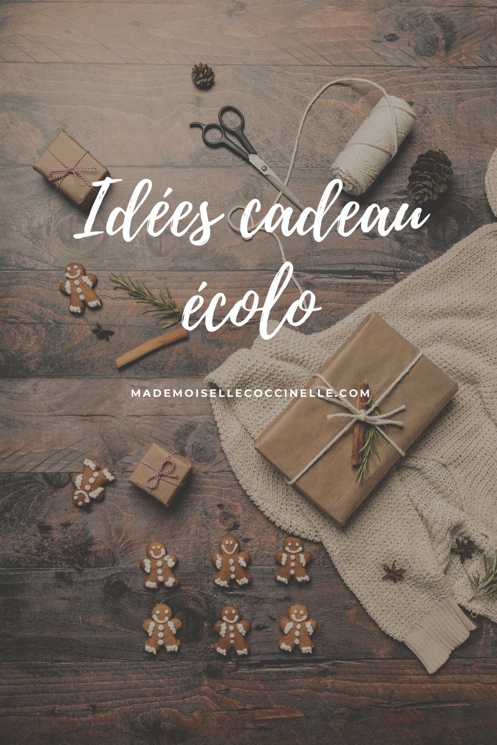 10 idées originales pour un cadeau écolo - Kelluij