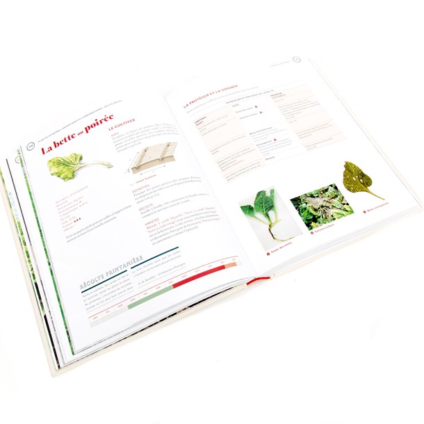 Le guide terre vivante du potager bio