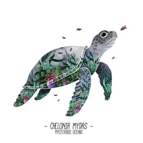 Affiche illustration tortue "Mysterious Oceans"